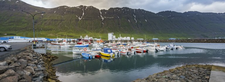 Lífeyrissjóður Neskaupstaðar